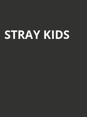 Stray Kids, Dickies Arena, Fort Worth