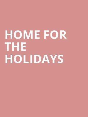 Home For The Holidays Poster
