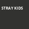 Stray Kids, Dickies Arena, Fort Worth